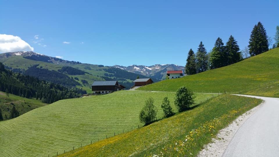 Haus Am Sonnberg Villa Maria Alm am Steinernen Meer Dış mekan fotoğraf